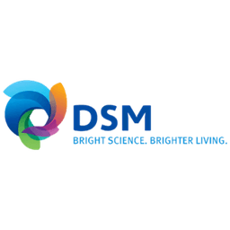 DSM